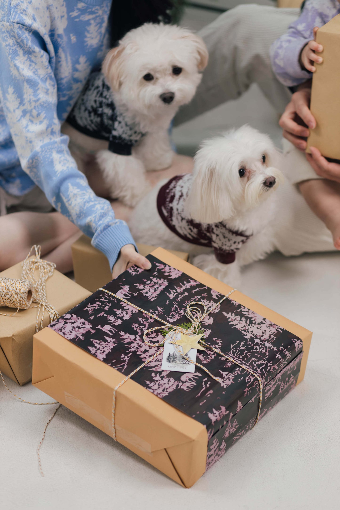 Vale Pet Sweater